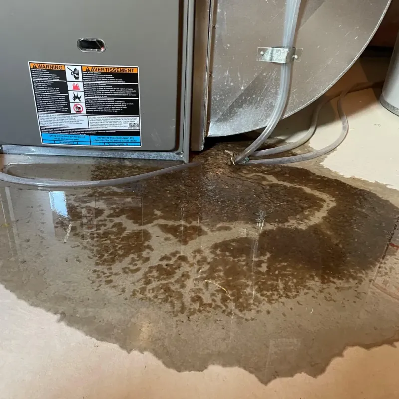 Appliance Leak Cleanup in Surry County, NC